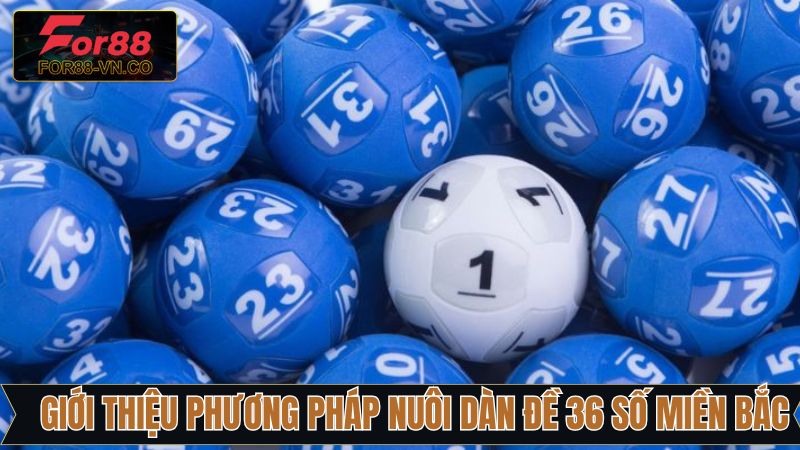 Kinh Nghiệm Nuôi Dàn Đề 36 Số Miền Bắc Bất Bại Tại For88 2 Khái quát về nuôi dàn đề 36 số miền Bắc