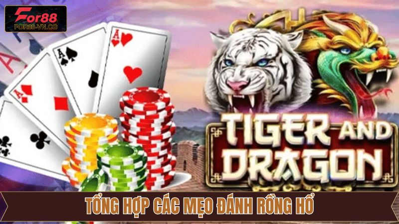 Tổng Hợp Mẹo Đánh Rồng Hổ Trực Tuyến Bất Bại Từ For88 3 Kinh nghiệm cược Rồng Hổ For88 săn thưởng